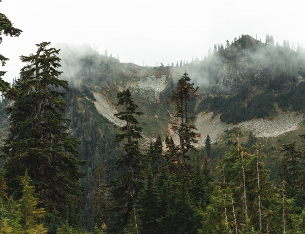 _Q1A4882 Pano Edit 2 by Nick Roth Photography