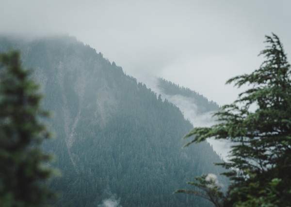 _Q1A4974 by Nick Roth Photography