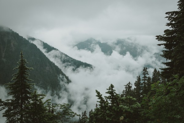 _Q1A4985 by Nick Roth Photography