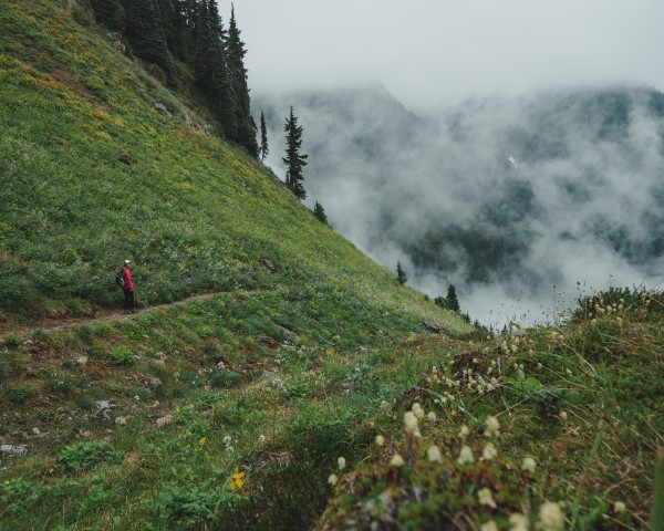 _Q1A4990 by Nick Roth Photography