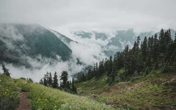 _Q1A5015 by Nick Roth Photography