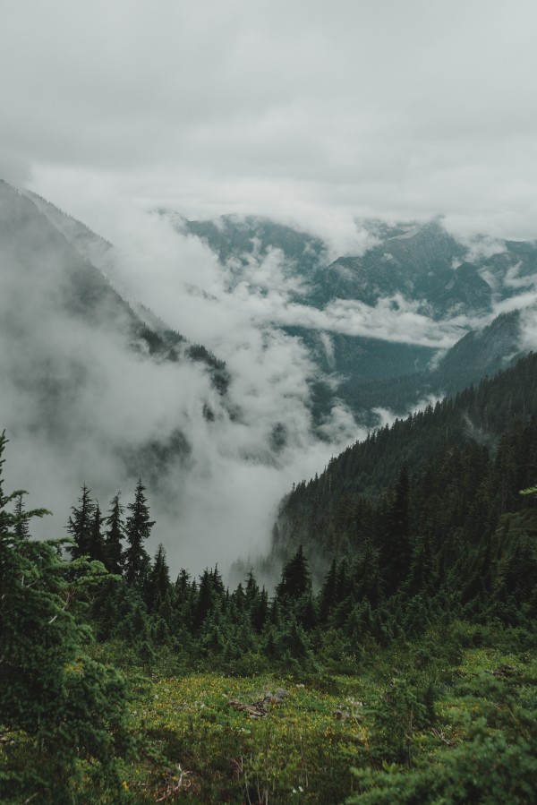 _Q1A5032 by Nick Roth Photography