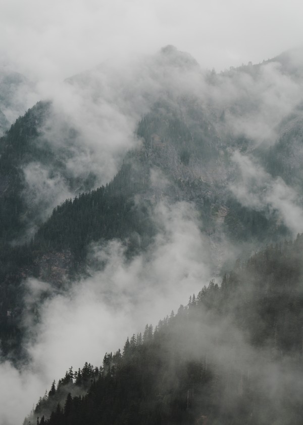 _Q1A5047 by Nick Roth Photography