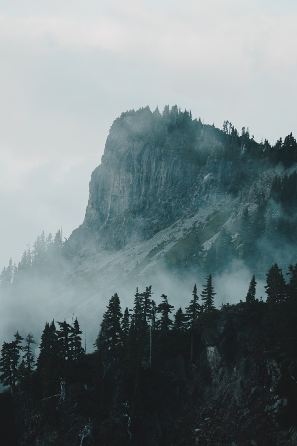 _Q1A5624 by Nick Roth Photography