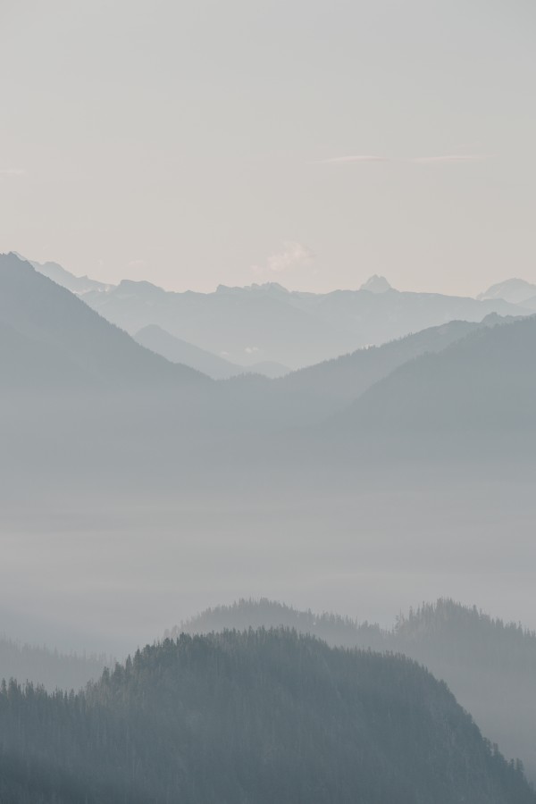 _Q1A5819 by Nick Roth Photography