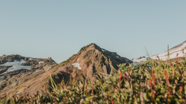 _Q1A5847 by Nick Roth Photography
