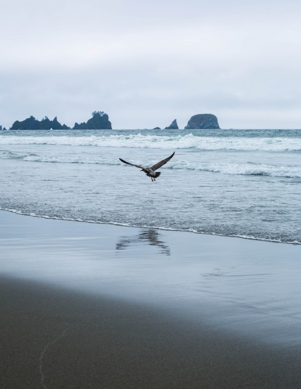 _Q1A6589 by Nick Roth Photography