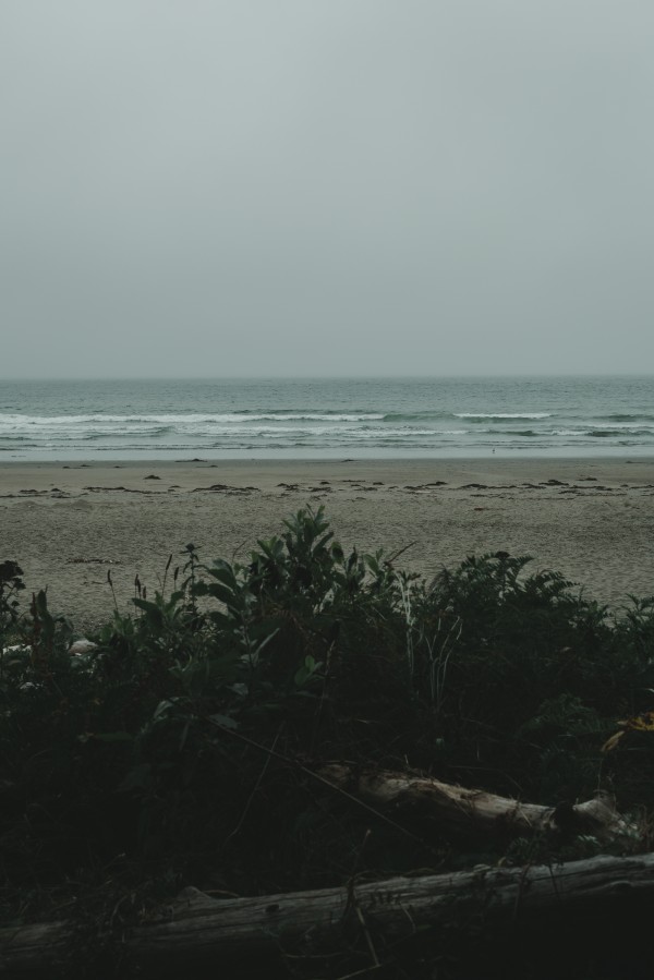 _Q1A6614 by Nick Roth Photography