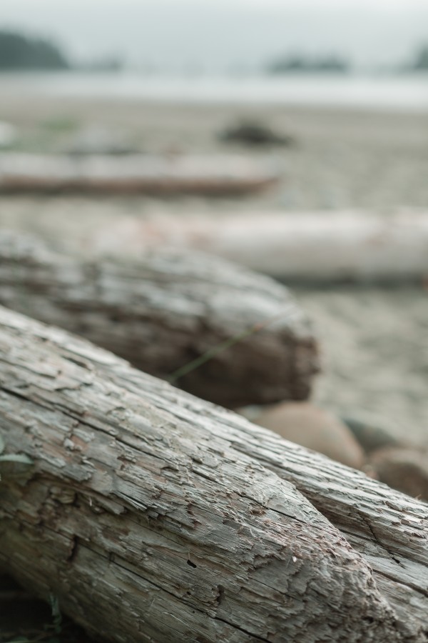 _Q1A6691 by Nick Roth Photography