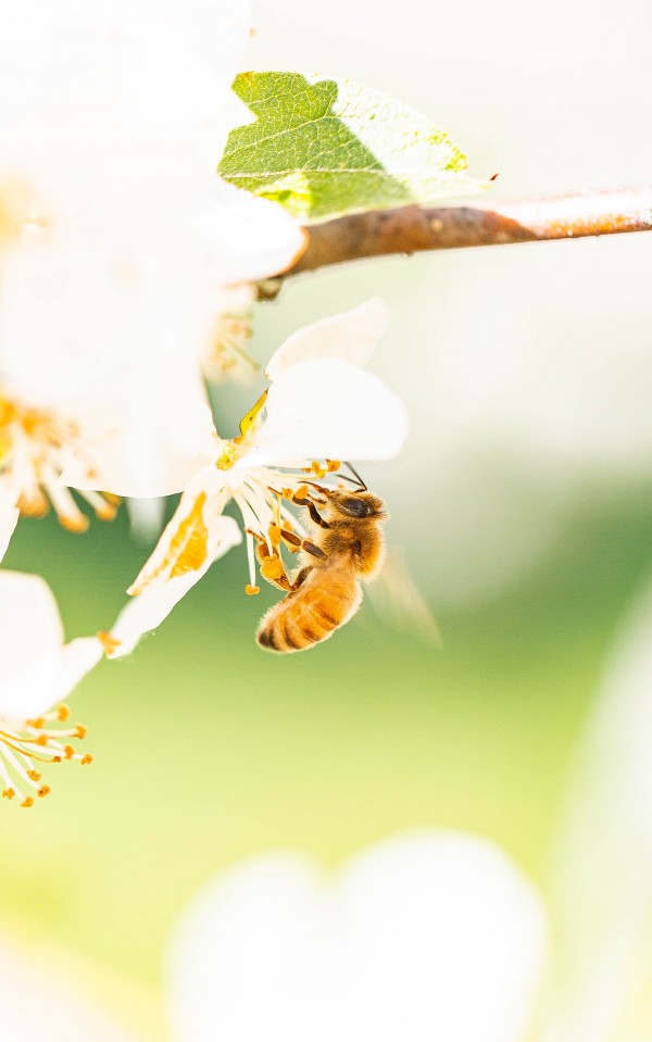 _Q1A6888 2 by Nick Roth Photography