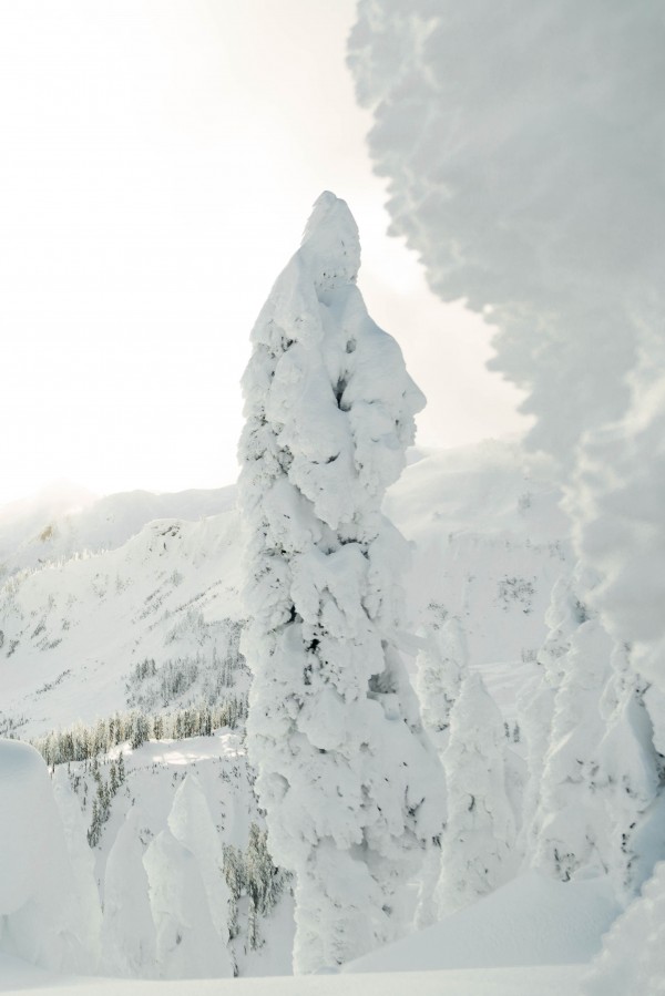 _Q1A6929 by Nick Roth Photography