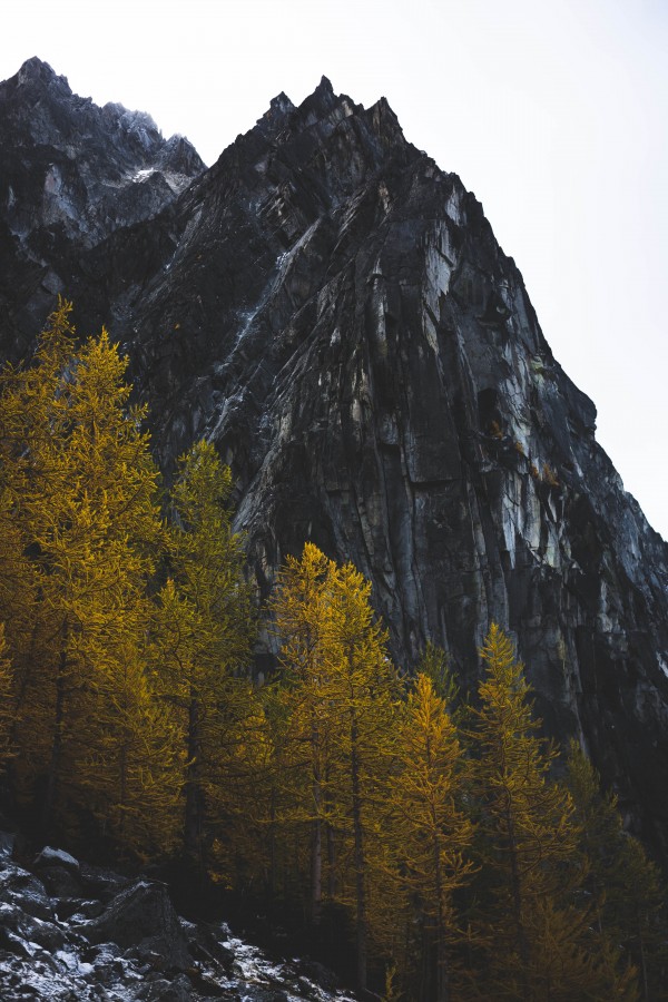 _Q1A7013 by Nick Roth Photography
