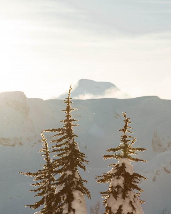 _Q1A7210 by Nick Roth Photography