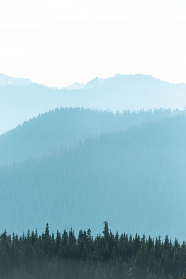 _Q1A9079 by Nick Roth Photography