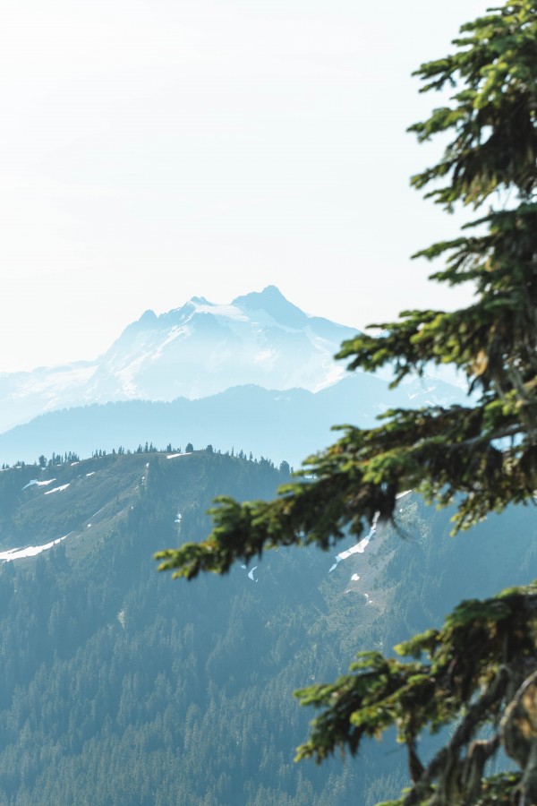 _Q1A9203 by Nick Roth Photography