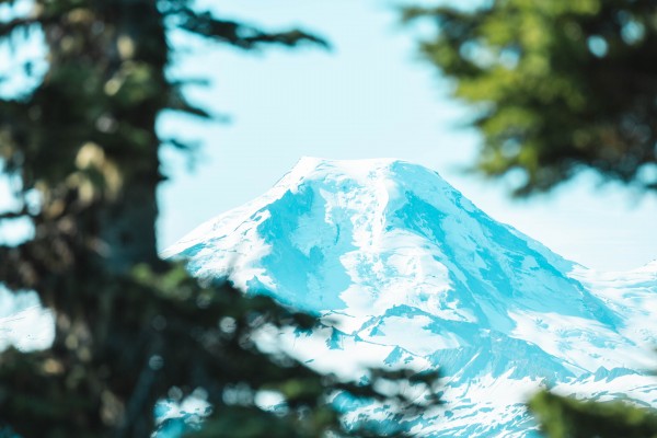 _Q1A9227 by Nick Roth Photography