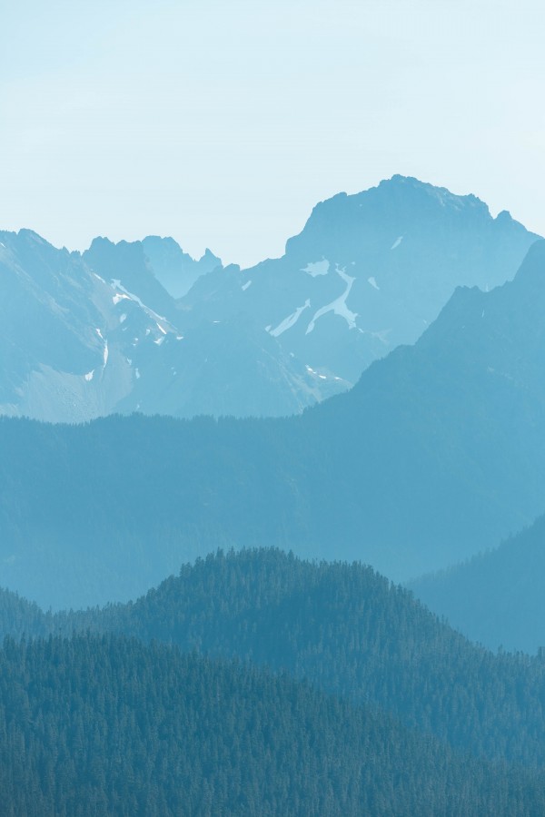 _Q1A9254 by Nick Roth Photography