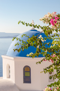 Blue domed church in Santorini Greece with vibrant flowers.