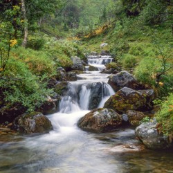 A serene waterfall cascades through a lush green forest offering tranquility.