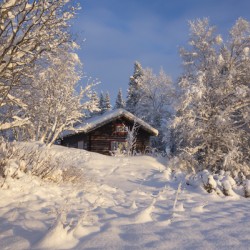 A cozy wooden cabin nestled among snow-covered trees in a peaceful winter landscape.