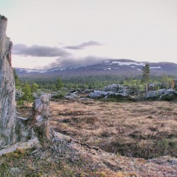 A weathered tree stands before a mountain range under a cloudy sky at dusk.