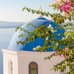 Blue domed church in Santorini Greece with vibrant flowers.