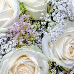 A beautiful arrangement of white roses with babys breath a perfect floral display.