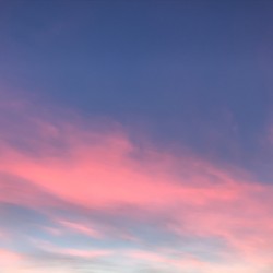 Pink clouds and blue sky in sunset
