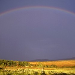 A stunning rainbow stretches across a vast sky above the green and golden fields.