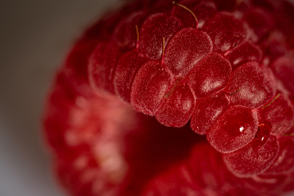 Raspberry Print