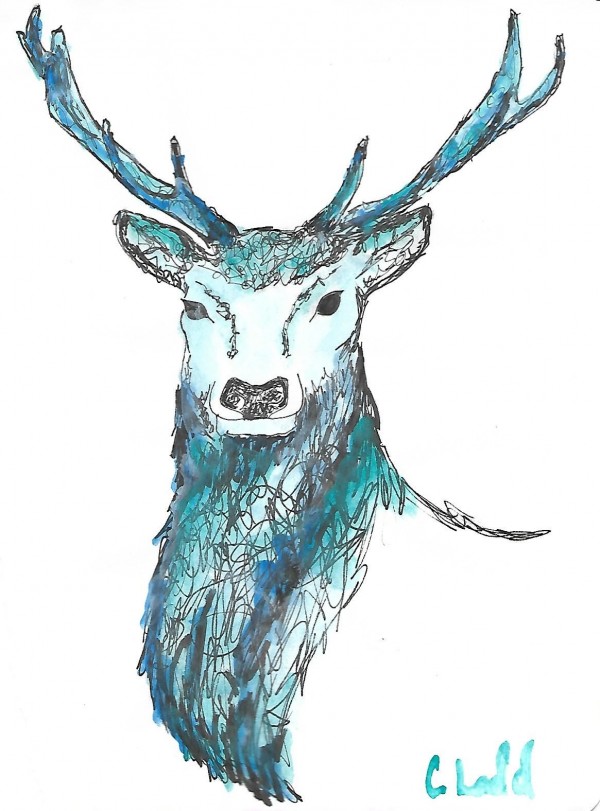 Buck Print