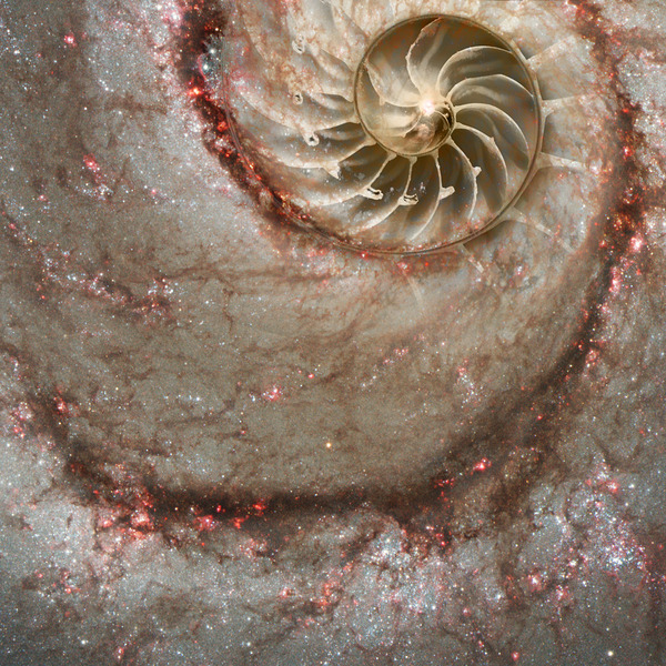 Celestial Coil by Jeffrey Main