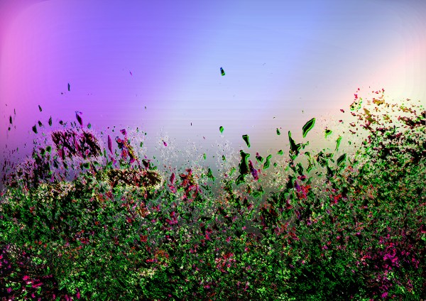 Abstract Flowers Print