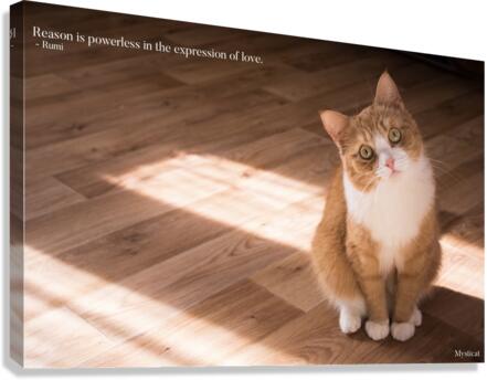 Reason is powerless… Canvas Print
