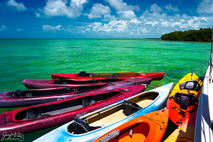 Key West Kayaks at the Mangrove