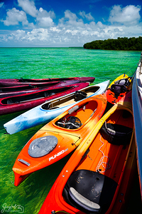 Key West Kayaks at the Mangrove Vertical