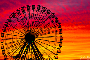 Ocean City Beyond Wonderland Color Explosion