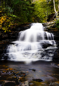 Ricketts Glen 1