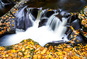 Ricketts Glen 4