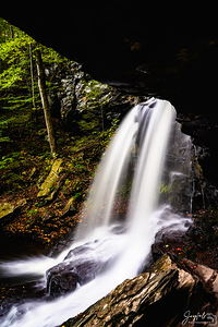 Ricketts Glen 7