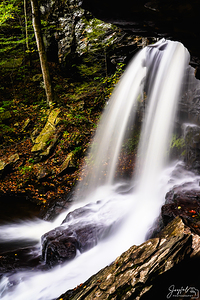 Ricketts Glen 7 Tight