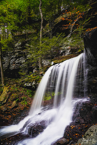 Ricketts Glen 8