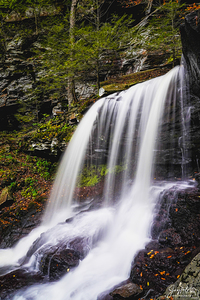 Ricketts Glen 8 Tight