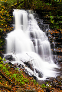 Ricketts Glen 9