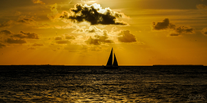 Key West Sunset Cruise Light Beams 2x1