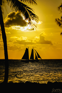 Key West Sunset Cruise Yellow Thru to Palm