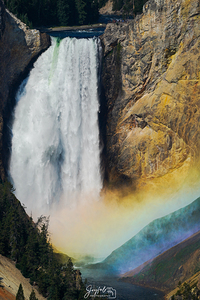 Yellowstone Lower Falls Rainbow Mist