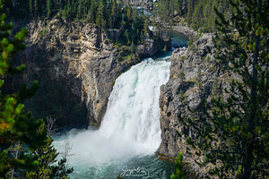 Yellowstone Upper Falls