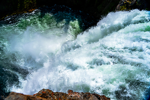 Yellowstone Upper Falls Take the Plunge