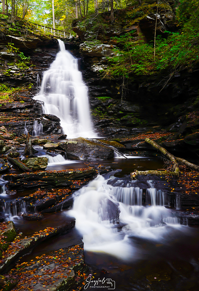 Ricketts Glen 5 Print